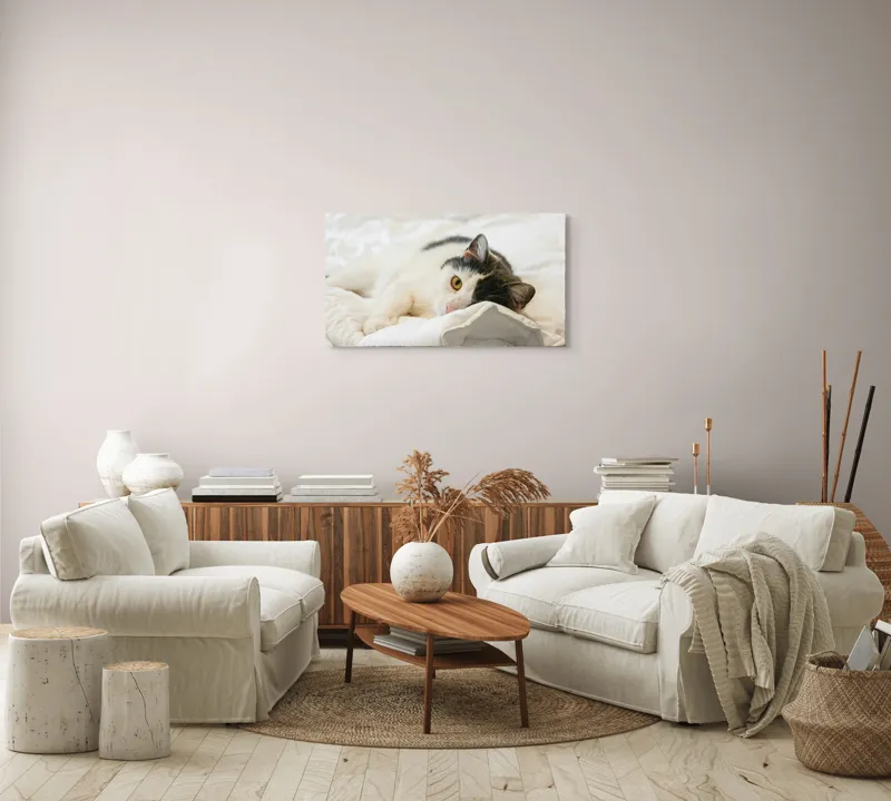 Tablou Canvas, "Pisică odihnindu-se pe așternuturi albe", Pisică, Întinsă, Blană, Albitură, Odihnă, Privire, Relaxare, 90 x 50 cm – poza 4