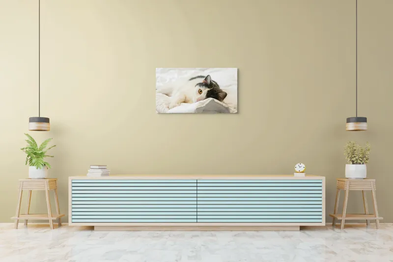 Tablou Canvas, "Pisică odihnindu-se pe așternuturi albe", Pisică, Întinsă, Blană, Albitură, Odihnă, Privire, Relaxare, 90 x 50 cm – poza 5