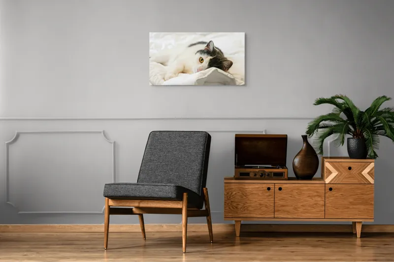 Tablou Canvas, "Pisică odihnindu-se pe așternuturi albe", Pisică, Întinsă, Blană, Albitură, Odihnă, Privire, Relaxare, 90 x 50 cm – poza 6