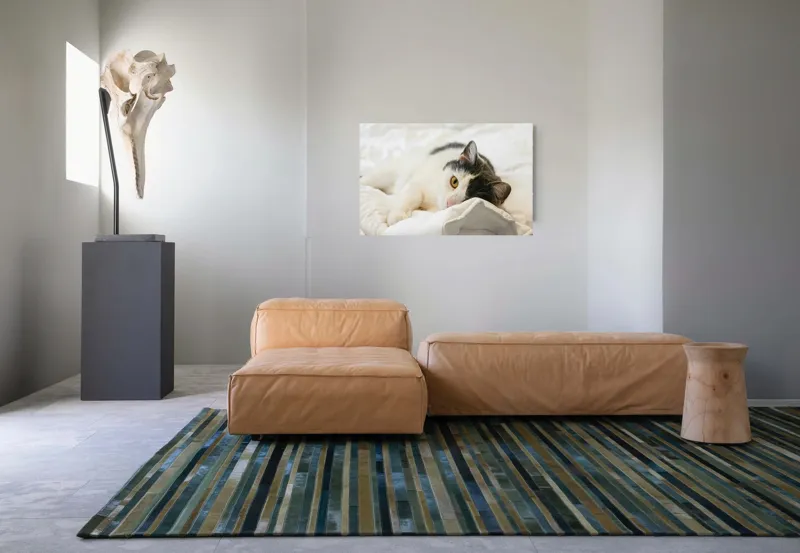 Tablou Canvas, "Pisică odihnindu-se pe așternuturi albe", Pisică, Întinsă, Blană, Albitură, Odihnă, Privire, Relaxare, 90 x 50 cm – poza 8