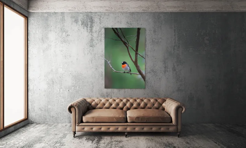 Tablou Canvas, "Pasărea cu pieptul portocaliu pe ramură", Pasăre, Ramură, Portocaliu, Negru, Verde, Ochi, Pene, Natură, Zveltă, Observare, 100 x 150 cm – poza 6