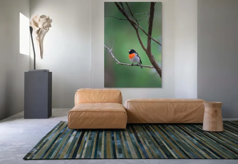 Tablou Canvas, "Pasărea cu pieptul portocaliu pe ramură", Pasăre, Ramură, Portocaliu, Negru, Verde, Ochi, Pene, Natură, Zveltă, Observare, 100 x 150 cm – poza 7