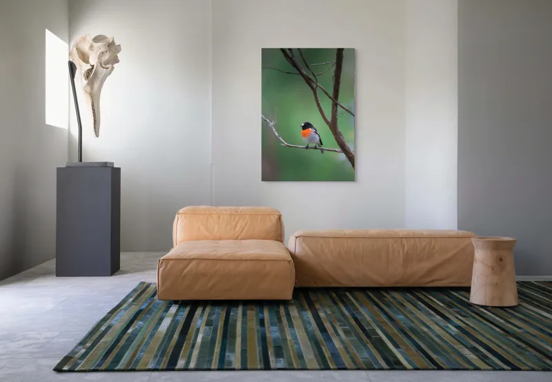 Tablou Canvas, "Pasărea cu pieptul portocaliu pe ramură", Pasăre, Ramură, Portocaliu, Negru, Verde, Ochi, Pene, Natură, Zveltă, Observare, 70 x 100 cm – poza 7