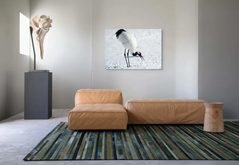Tablou Canvas, "Crainic japonez pe zăpadă strălucitoare", Pasăre, Zăpadă, Frig, Natură, Eleganță, Pene, Contrast, Roșu., 100 x 70 cm – poza 7
