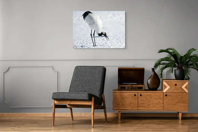 Tablou Canvas, "Crainic japonez pe zăpadă strălucitoare", Pasăre, Zăpadă, Frig, Natură, Eleganță, Pene, Contrast, Roșu., 100 x 70 cm – poza 8