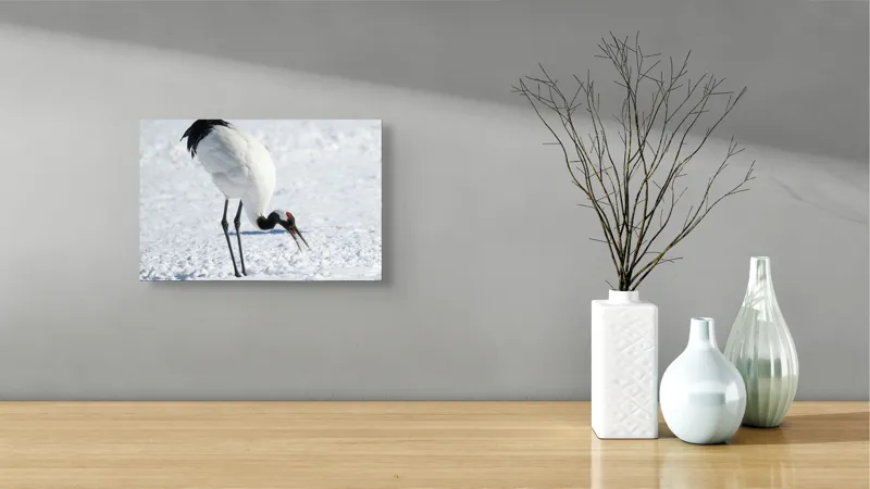 Tablou Canvas, "Crainic japonez pe zăpadă strălucitoare", Pasăre, Zăpadă, Frig, Natură, Eleganță, Pene, Contrast, Roșu., 39 x 26 cm – poza 8