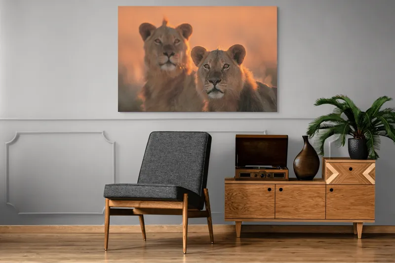 Tablou Canvas, "Tandrețea regilor savanei africane", Regal, Majestic, Powerful, Serene, Watchful, Graceful, 150 x 100 cm – poza 8