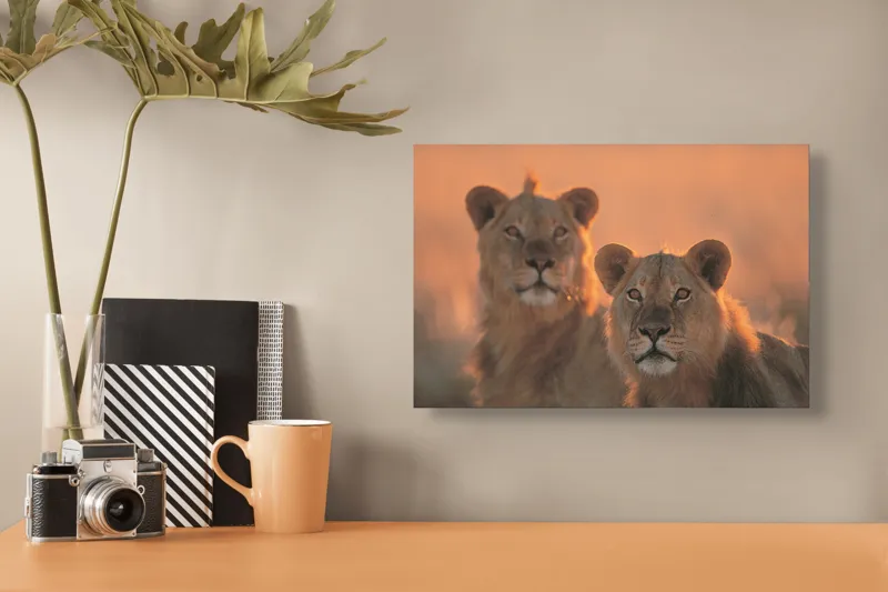 Tablou Canvas, "Tandrețea regilor savanei africane", Regal, Majestic, Powerful, Serene, Watchful, Graceful, 39 x 26 cm – poza 3