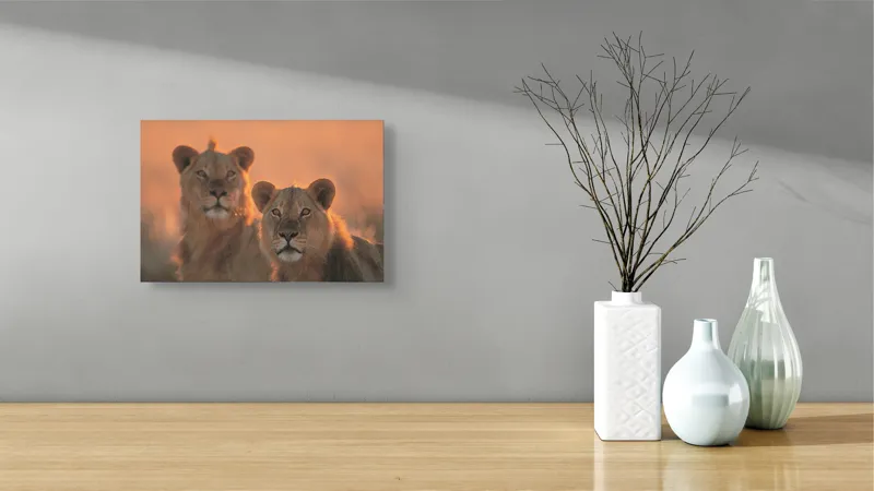 Tablou Canvas, "Tandrețea regilor savanei africane", Regal, Majestic, Powerful, Serene, Watchful, Graceful, 39 x 26 cm – poza 8