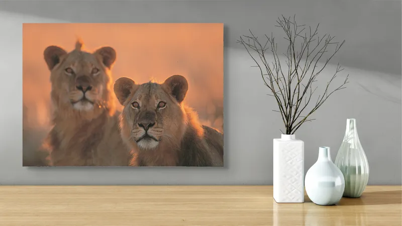 Tablou Canvas, "Tandrețea regilor savanei africane", Regal, Majestic, Powerful, Serene, Watchful, Graceful, 70 x 50 cm – poza 3
