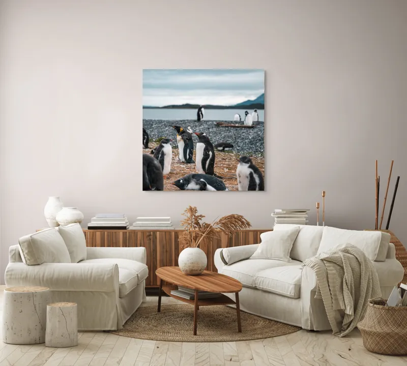 Tablou Canvas, "Pinguinii se odihnesc pe țărmul mării", Pinguini, Plajă, Cer, Pietriș, Apă, Inselă, Munți, Adunare, Natură, Odihnă, 100 x 100 cm – poza 3