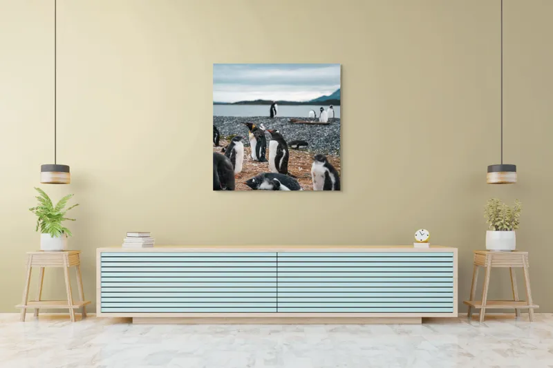 Tablou Canvas, "Pinguinii se odihnesc pe țărmul mării", Pinguini, Plajă, Cer, Pietriș, Apă, Inselă, Munți, Adunare, Natură, Odihnă, 100 x 100 cm – poza 5