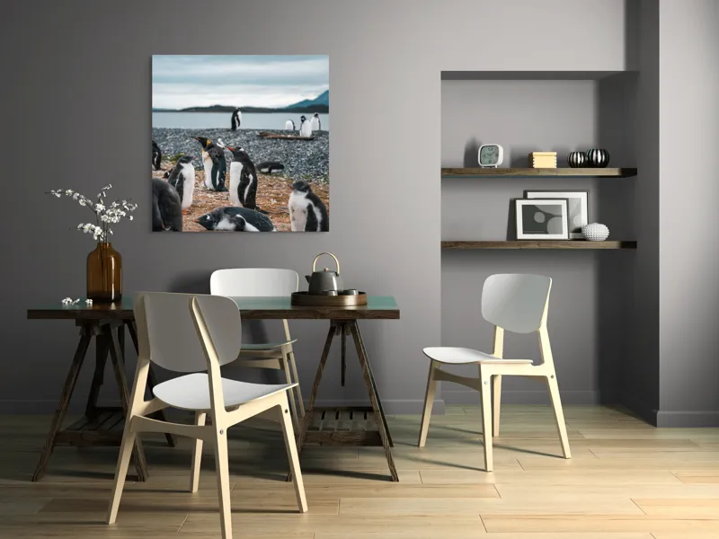 Tablou Canvas, "Pinguinii se odihnesc pe țărmul mării", Pinguini, Plajă, Cer, Pietriș, Apă, Inselă, Munți, Adunare, Natură, Odihnă, 100 x 100 cm – poza 6