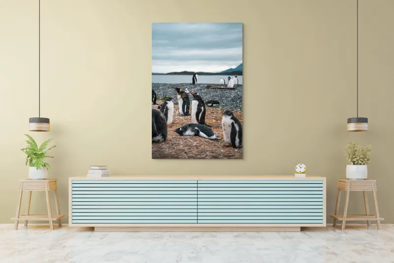 Tablou Canvas, "Pinguinii se odihnesc pe țărmul mării", Pinguini, Plajă, Cer, Pietriș, Apă, Inselă, Munți, Adunare, Natură, Odihnă, 100 x 150 cm – poza 4