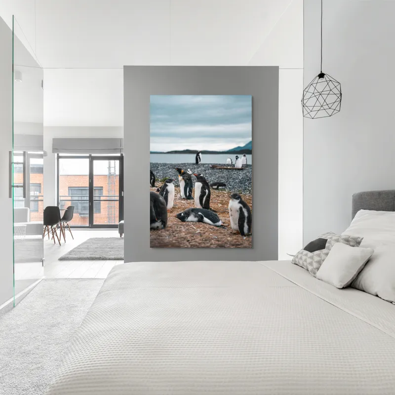 Tablou Canvas, "Pinguinii se odihnesc pe țărmul mării", Pinguini, Plajă, Cer, Pietriș, Apă, Inselă, Munți, Adunare, Natură, Odihnă, 100 x 150 cm – poza 5