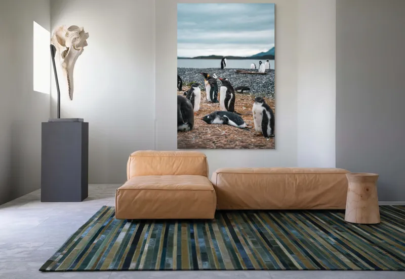 Tablou Canvas, "Pinguinii se odihnesc pe țărmul mării", Pinguini, Plajă, Cer, Pietriș, Apă, Inselă, Munți, Adunare, Natură, Odihnă, 100 x 150 cm – poza 7