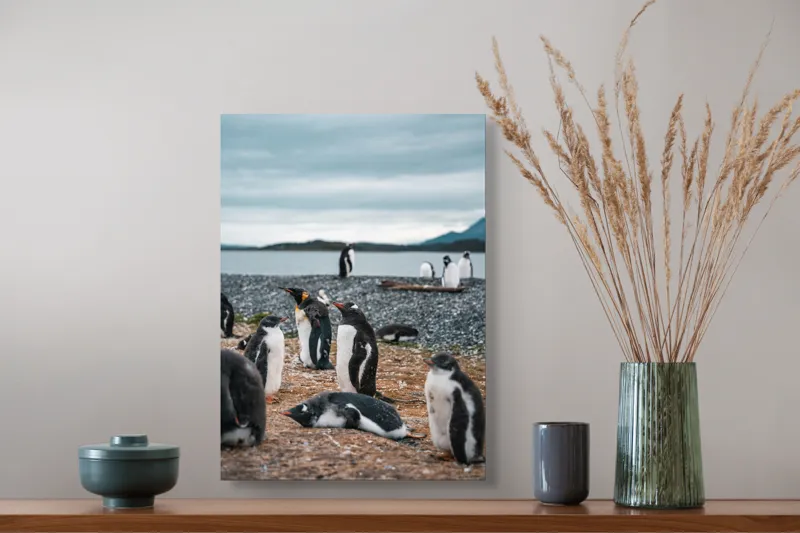 Tablou Canvas, "Pinguinii se odihnesc pe țărmul mării", Pinguini, Plajă, Cer, Pietriș, Apă, Inselă, Munți, Adunare, Natură, Odihnă, 39 x 54 cm – poza 3