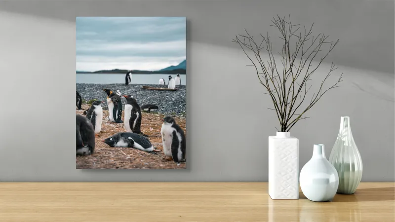 Tablou Canvas, "Pinguinii se odihnesc pe țărmul mării", Pinguini, Plajă, Cer, Pietriș, Apă, Inselă, Munți, Adunare, Natură, Odihnă, 39 x 54 cm – poza 4