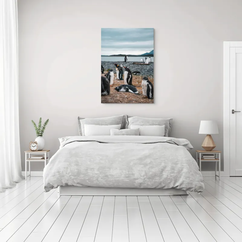 Tablou Canvas, "Pinguinii se odihnesc pe țărmul mării", Pinguini, Plajă, Cer, Pietriș, Apă, Inselă, Munți, Adunare, Natură, Odihnă, 70 x 100 cm – poza 3