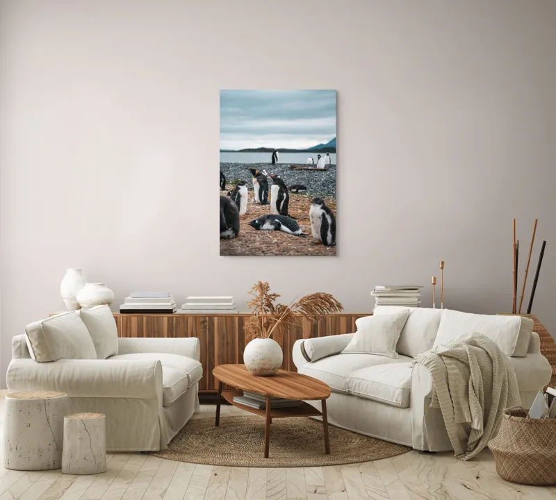 Tablou Canvas, "Pinguinii se odihnesc pe țărmul mării", Pinguini, Plajă, Cer, Pietriș, Apă, Inselă, Munți, Adunare, Natură, Odihnă, 70 x 100 cm – poza 4