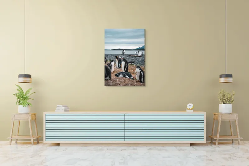 Tablou Canvas, "Pinguinii se odihnesc pe țărmul mării", Pinguini, Plajă, Cer, Pietriș, Apă, Inselă, Munți, Adunare, Natură, Odihnă, 70 x 100 cm – poza 5