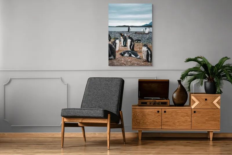 Tablou Canvas, "Pinguinii se odihnesc pe țărmul mării", Pinguini, Plajă, Cer, Pietriș, Apă, Inselă, Munți, Adunare, Natură, Odihnă, 70 x 100 cm – poza 6