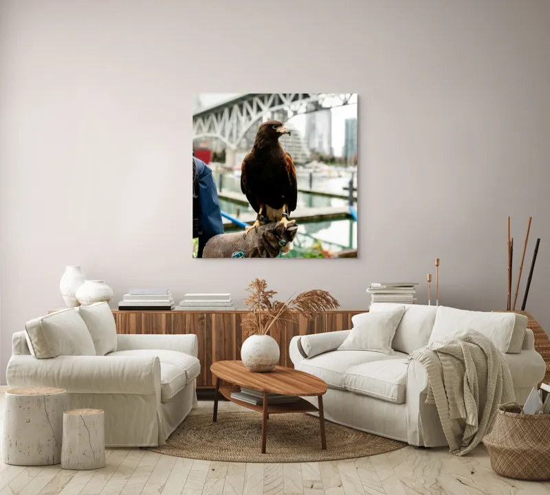 Tablou Canvas, "Șoimul în așteptarea vânătorii urbane", Conținut, Majestic, Vultur, Pod, Râu, Urban, Natură, Contrast, Libertate, Eleganță, 100 x 100 cm – poza 3