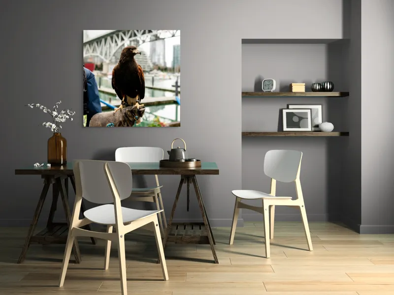 Tablou Canvas, "Șoimul în așteptarea vânătorii urbane", Conținut, Majestic, Vultur, Pod, Râu, Urban, Natură, Contrast, Libertate, Eleganță, 100 x 100 cm – poza 6