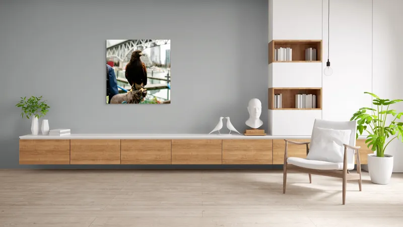 Tablou Canvas, "Șoimul în așteptarea vânătorii urbane", Conținut, Majestic, Vultur, Pod, Râu, Urban, Natură, Contrast, Libertate, Eleganță, 100 x 100 cm – poza 8