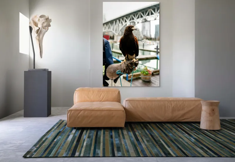 Tablou Canvas, "Șoimul în așteptarea vânătorii urbane", Conținut, Majestic, Vultur, Pod, Râu, Urban, Natură, Contrast, Libertate, Eleganță, 100 x 150 cm – poza 7