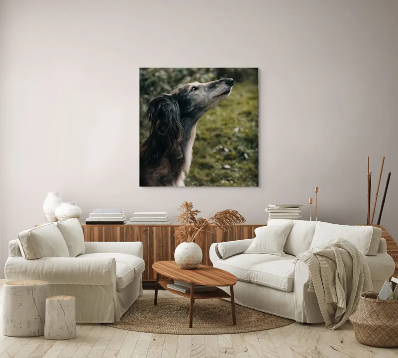 Tablou Canvas, "Câine visând la cer înalt", Blană, Privire, Natură, Curiozitate, Serenitate, Verdeață, Liniște, 100 x 100 cm – poza 3