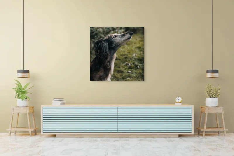 Tablou Canvas, "Câine visând la cer înalt", Blană, Privire, Natură, Curiozitate, Serenitate, Verdeață, Liniște, 100 x 100 cm – poza 5