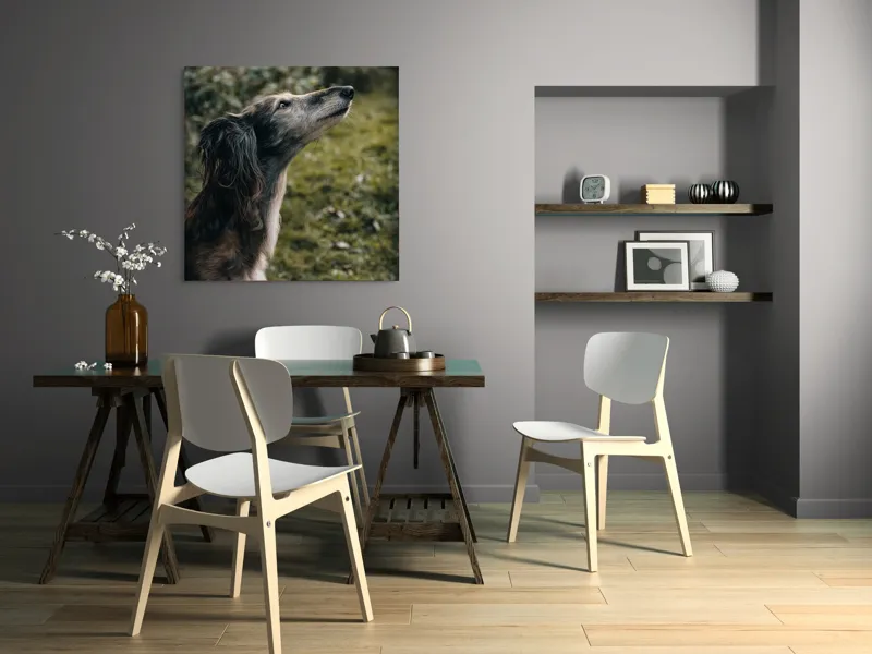 Tablou Canvas, "Câine visând la cer înalt", Blană, Privire, Natură, Curiozitate, Serenitate, Verdeață, Liniște, 100 x 100 cm – poza 6