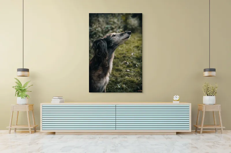 Tablou Canvas, "Câine visând la cer înalt", Blană, Privire, Natură, Curiozitate, Serenitate, Verdeață, Liniște, 100 x 150 cm – poza 4