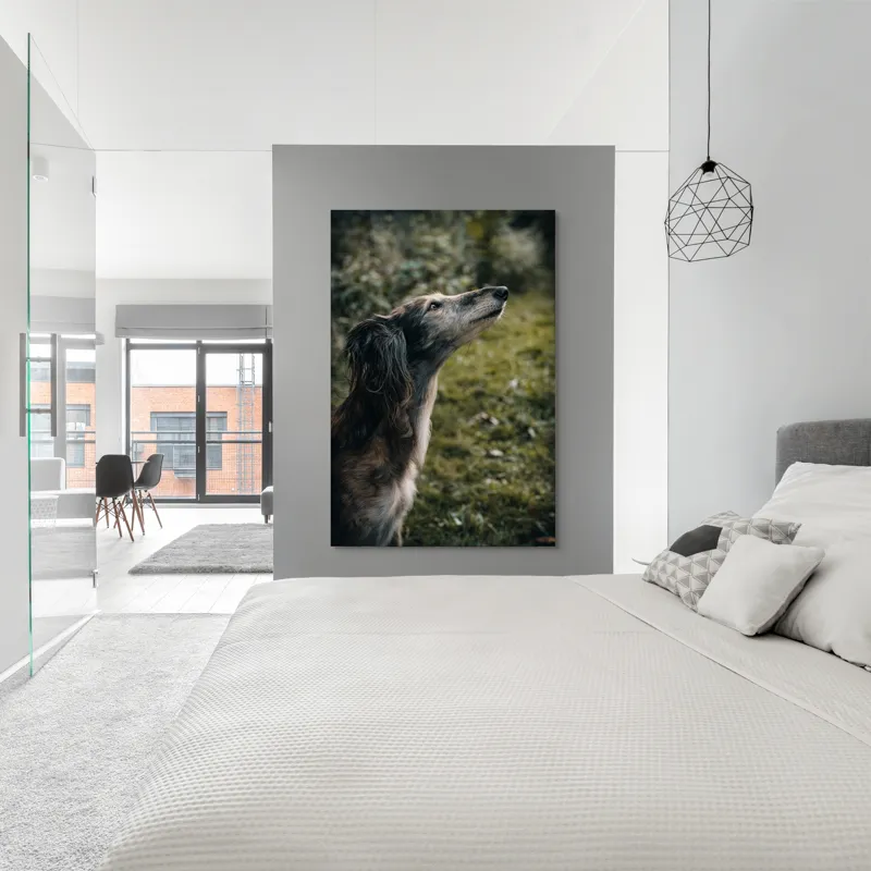 Tablou Canvas, "Câine visând la cer înalt", Blană, Privire, Natură, Curiozitate, Serenitate, Verdeață, Liniște, 100 x 150 cm – poza 5
