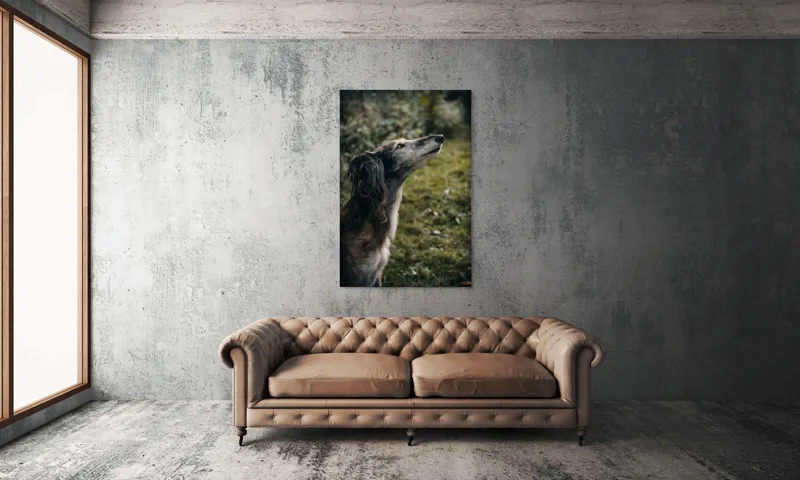 Tablou Canvas, "Câine visând la cer înalt", Blană, Privire, Natură, Curiozitate, Serenitate, Verdeață, Liniște, 100 x 150 cm – poza 6