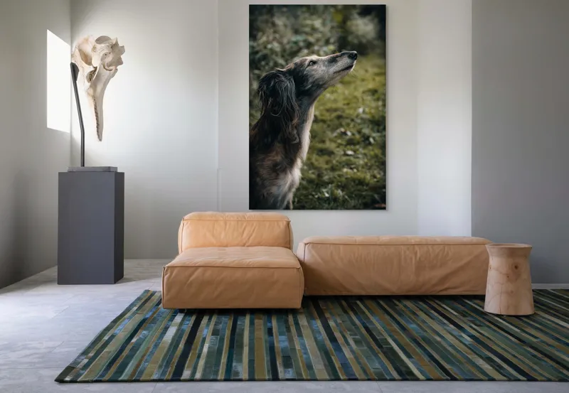 Tablou Canvas, "Câine visând la cer înalt", Blană, Privire, Natură, Curiozitate, Serenitate, Verdeață, Liniște, 100 x 150 cm – poza 7