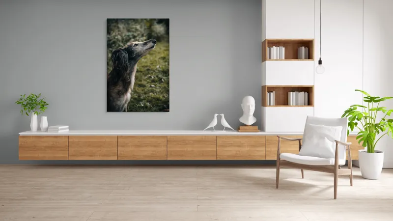 Tablou Canvas, "Câine visând la cer înalt", Blană, Privire, Natură, Curiozitate, Serenitate, Verdeață, Liniște, 100 x 150 cm – poza 8