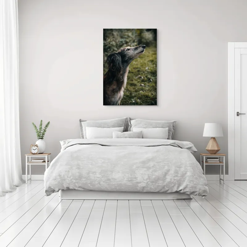 Tablou Canvas, "Câine visând la cer înalt", Blană, Privire, Natură, Curiozitate, Serenitate, Verdeață, Liniște, 70 x 100 cm – poza 3
