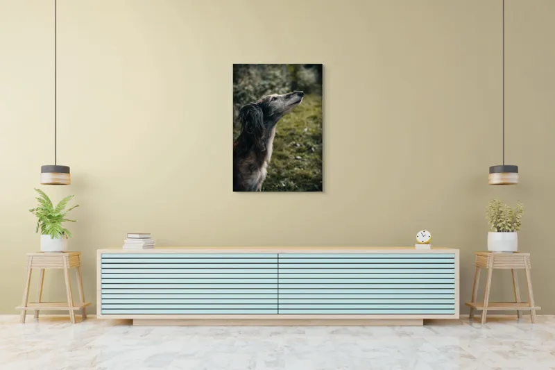 Tablou Canvas, "Câine visând la cer înalt", Blană, Privire, Natură, Curiozitate, Serenitate, Verdeață, Liniște, 70 x 100 cm – poza 5