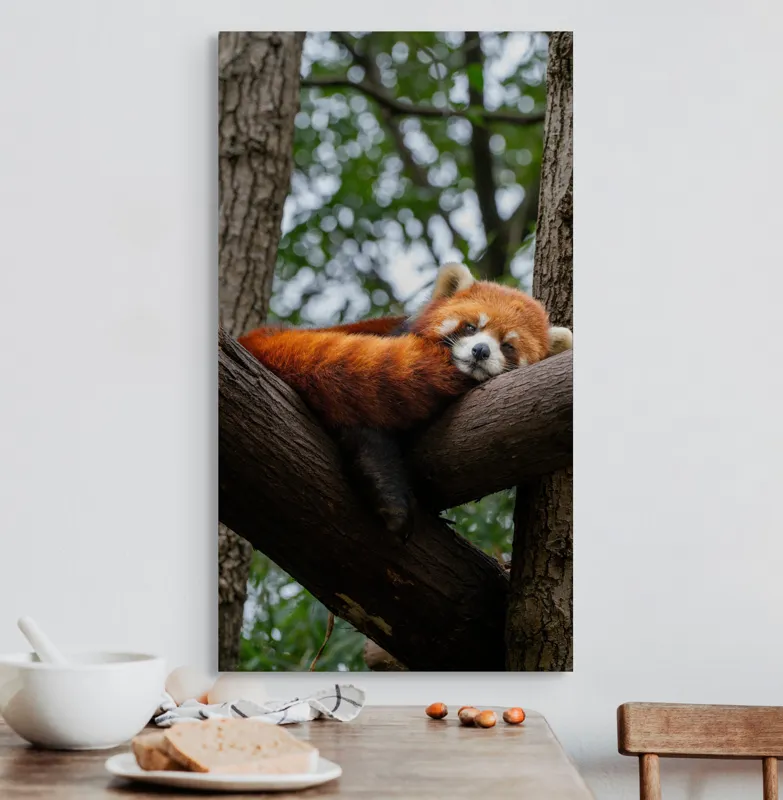 Tablou Canvas, "Panda roșu odihnindu-se pe trunchi", Roșcat, Adormit, Blănos, Relaxat, Arbori, Natură, Liniște, Drăgălaș, Ploaie, Pisicos, 50 x 90 cm – poza 3