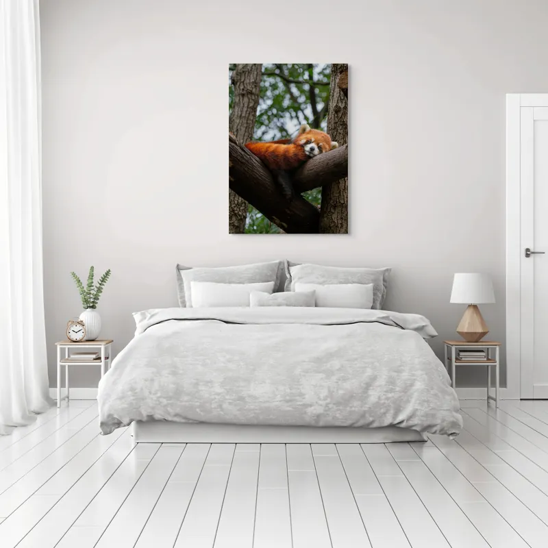 Tablou Canvas, "Panda roșu odihnindu-se pe trunchi", Roșcat, Adormit, Blănos, Relaxat, Arbori, Natură, Liniște, Drăgălaș, Ploaie, Pisicos, 70 x 100 cm – poza 3