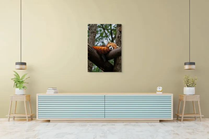 Tablou Canvas, "Panda roșu odihnindu-se pe trunchi", Roșcat, Adormit, Blănos, Relaxat, Arbori, Natură, Liniște, Drăgălaș, Ploaie, Pisicos, 70 x 100 cm – poza 5
