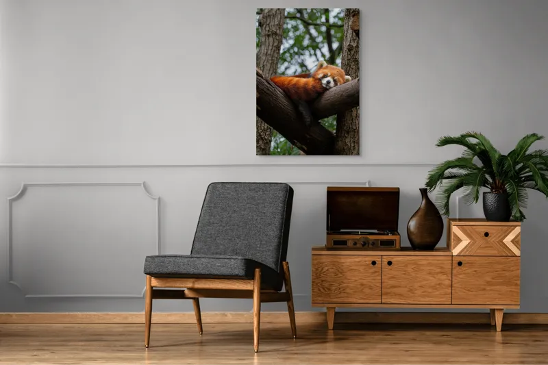 Tablou Canvas, "Panda roșu odihnindu-se pe trunchi", Roșcat, Adormit, Blănos, Relaxat, Arbori, Natură, Liniște, Drăgălaș, Ploaie, Pisicos, 70 x 100 cm – poza 6