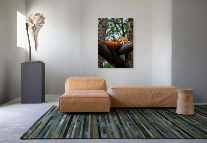 Tablou Canvas, "Panda roșu odihnindu-se pe trunchi", Roșcat, Adormit, Blănos, Relaxat, Arbori, Natură, Liniște, Drăgălaș, Ploaie, Pisicos, 70 x 100 cm – poza 7