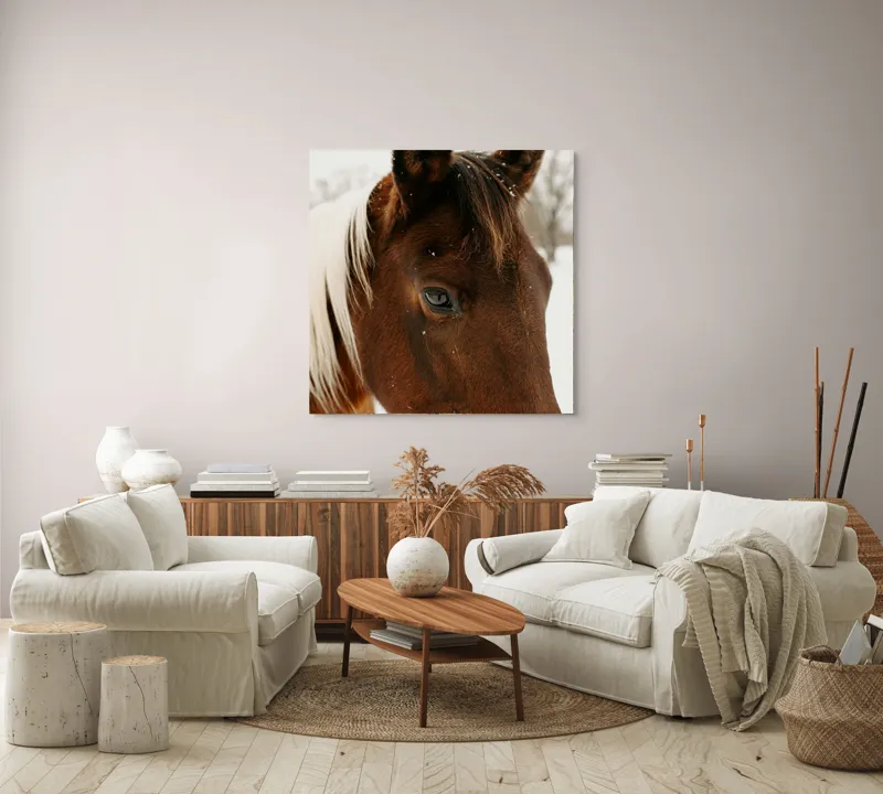 Tablou Canvas, "Privirea calmă a calului iarna", Puternic, Elegant, Calm, Frumos, Natural, Blând, Viu, 100 x 100 cm – poza 3