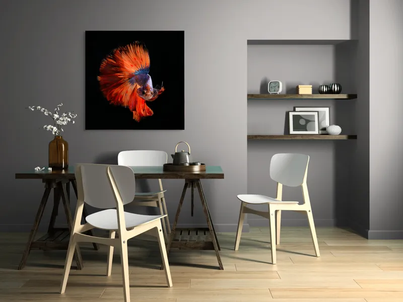 Tablou Canvas, "Dansul vibrant al peștelui betta", Fină, Eleganță, Culoare, Mișcare, Delicatețe, Contrast, Frumusețe, Natură, 100 x 100 cm – poza 6