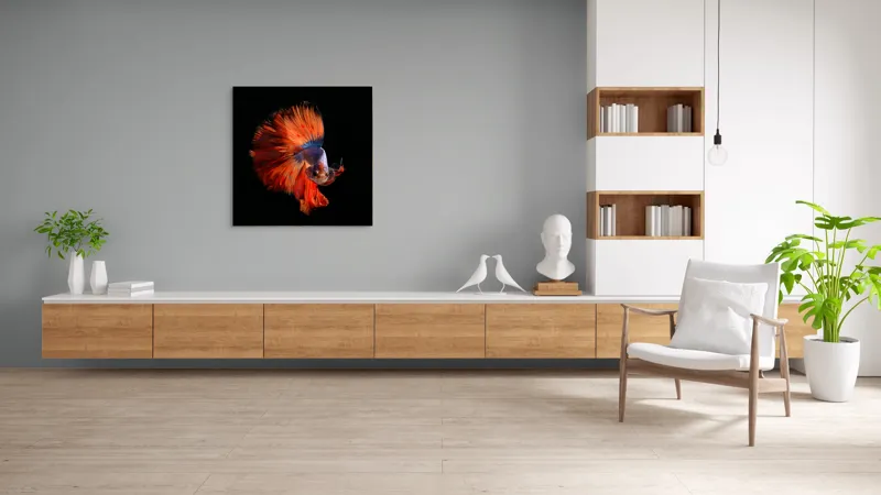 Tablou Canvas, "Dansul vibrant al peștelui betta", Fină, Eleganță, Culoare, Mișcare, Delicatețe, Contrast, Frumusețe, Natură, 100 x 100 cm – poza 8