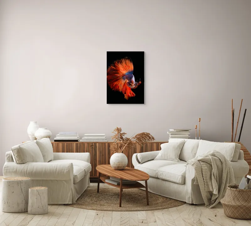 Tablou Canvas, "Dansul vibrant al peștelui betta", Fină, Eleganță, Culoare, Mișcare, Delicatețe, Contrast, Frumusețe, Natură, 50 x 70 cm – poza 4
