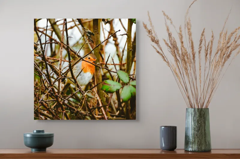 Tablou Canvas, "Măiestria culorilor într-o privire", Pasăre, Roşcată, Ramuri, Frunze, Natură, Camuflare, Grădină, Observare, Calm, Fragilitate, 50 x 50 cm – poza 4